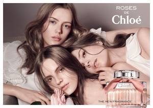Новинка для женщин: Roses de Chloe (видео)