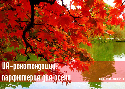 http://vash-aromat.ru/_nw/5/77806734.jpg