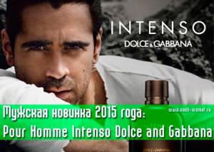 D&G Pour Homme Intenso Dolce and Gabbana