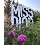 Miss Dior Eau de Parfum 2017 - постер номер пять