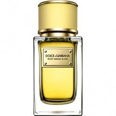 Изображение парфюма Dolce and Gabbana Velvet Mimosa Bloom