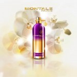 Реклама Orchid Powder Montale