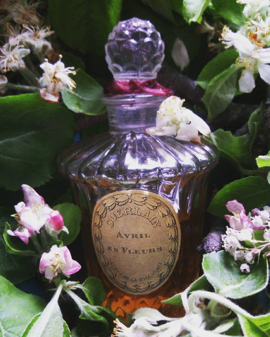 Изображение парфюма Guerlain Avril en Fleurs