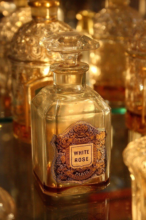 Изображение парфюма Guerlain White Rose