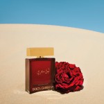 Реклама The One Mysterious Night Dolce and Gabbana