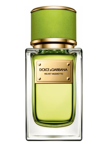 Изображение парфюма Dolce and Gabbana Velvet Mughetto