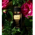 Реклама Velvet Black Patchouli Dolce and Gabbana