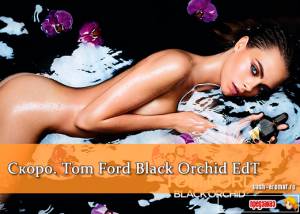 В объятиях Черной орхидеи. Женский аромат Black Orchid Eau de Toilette от Tom Ford