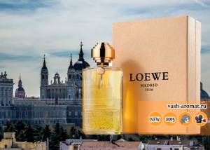 С Колумбом из Мадрида. Унисекс парфюм Descubriendo Colon от Loewe