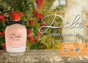 Вышла полная версия фильма Dolce Rosa Excelsa от Dolce&Gabbana с Софи Лорен и Кейт Кинг