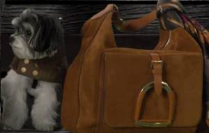 Новые модели Ralph Lauren: бездомные собаки (видео)