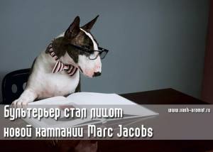 Собачья жизнь! Лицом новой кампании Marc Jacobs стал бультерьер