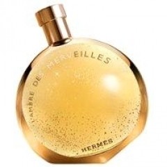 Изображение парфюма Hermes L’Ambre des Merveilles