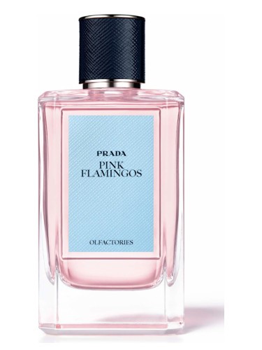 Изображение парфюма Prada Pink Flamingos