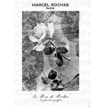 Реклама La Rose Rochas