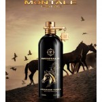 Реклама Arabians Tonka Montale