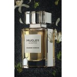 Реклама Fougere Furieuse Thierry Mugler