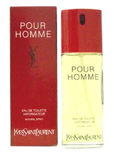 Изображение парфюма Yves Saint Laurent Pour Homme
