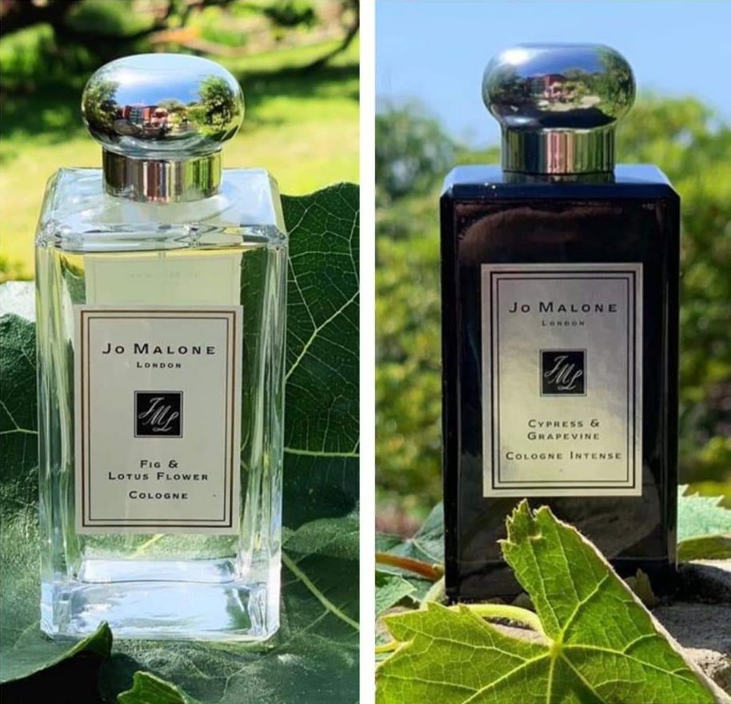 jo malone lotus flower