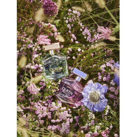 queen of seduction lively muse antonio banderas