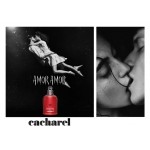 Картинка номер 3 Amor Amor от Cacharel
