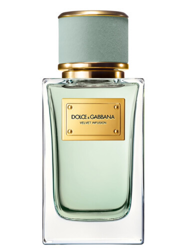 Изображение парфюма Dolce and Gabbana Velvet Infusion