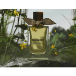 Изображение 2 Golden Haze Burberry