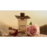 Реклама Rose Ember Burberry