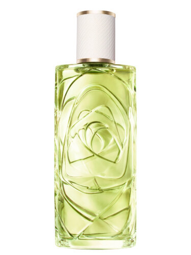 Изображение парфюма Lancome Off Now
