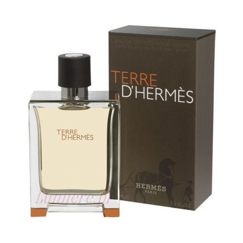 Изображение парфюма Hermes Terre d'Hermes