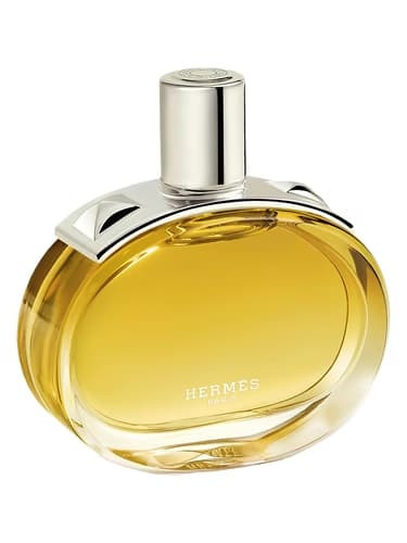 Изображение парфюма Hermes Barenia Intense