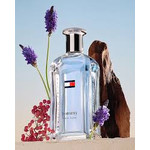 Изображение 2 Tommy New York Tommy Hilfiger