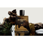 Реклама Hero Elixir de Parfum Burberry