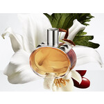 Изображение 2 Barenia Pleine Fleur Hermes