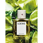 Изображение 2 Wild Coffee Loewe