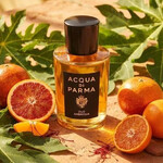 Изображение 2 Oud Ambrosia Acqua di Parma