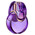 Новинка парфюмерии Bvlgari Omnia Amethyste Eau de Parfum