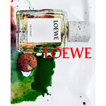 Реклама Field Diary Loewe