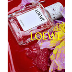 Реклама Rosetopia Loewe