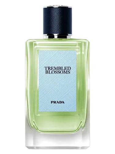 Изображение парфюма Prada Trembled Blossoms