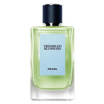 Trembled Blossoms от Prada