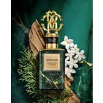 Изображение 2 Marbleous Cypress Roberto Cavalli