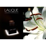 Картинка номер 3 ENCRE NOIRE Pour Elle 50ml edp от Lalique