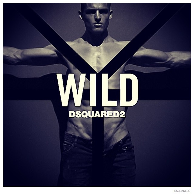 dsquared2 wild