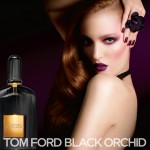 Black Orchid - постер номер пять