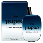 Изображение парфюма Comme des Garcons Blue Cedrat