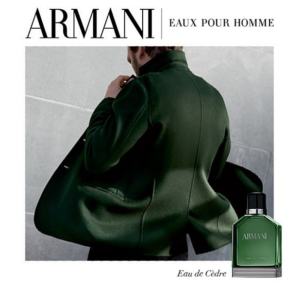 armani cedre