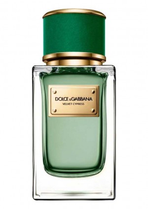 Изображение парфюма Dolce and Gabbana Velvet Cypress
