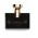 Изображение духов Bvlgari Splendida Jasmin Noir w